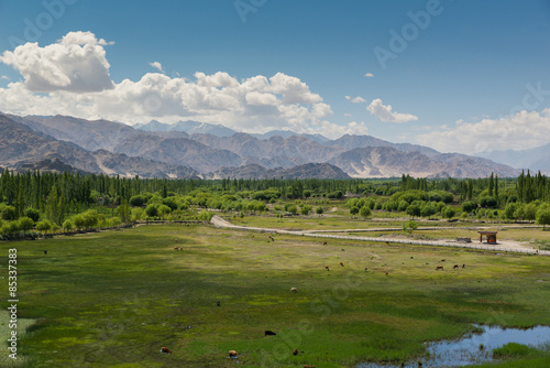 Pond in front of Shey Palace in Leh Ladakh.