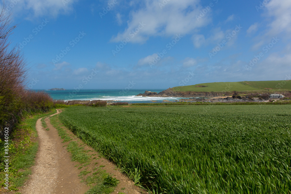 South west coast path Newtrain Bay North Cornwall near Padstow South west coast path Newtrain Bay North Cornwall near Padstow