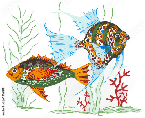 Colorful fish