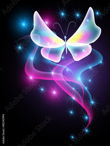 Fototapeta Butterfly and sparkle stars
