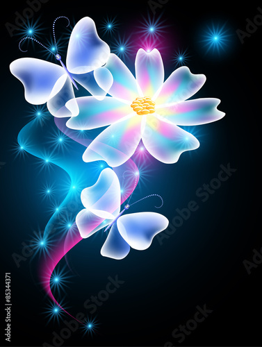 Fototapeta Neon butterflies and flower with shiny smoke and stars