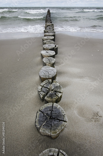 Germany, Fischland Darss Zingst, wooden stakes on the beach #85344536