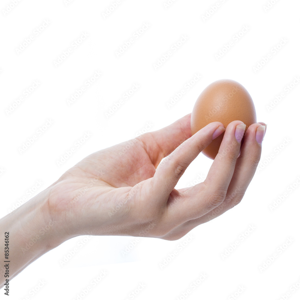 Female hand with a brown chicken egg Female hand with a brown chicken egg