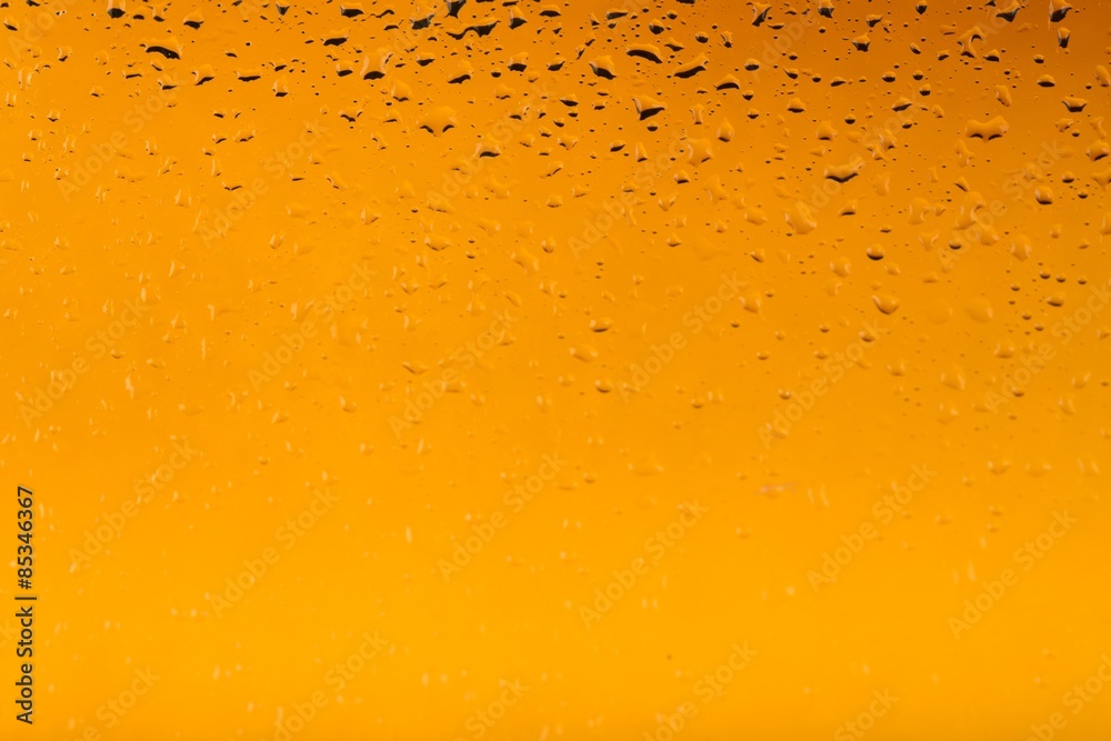 Beer Bottle, Beer, Backgrounds. Beer Bottle, Beer, Backgrounds.