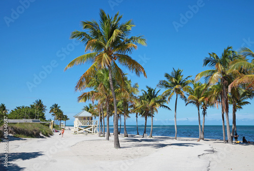 tropical beach