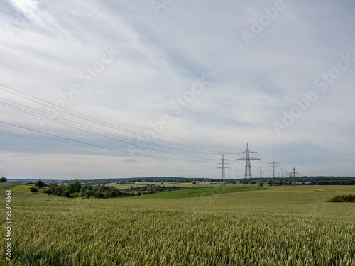   berlandleitung im Weizenfeld