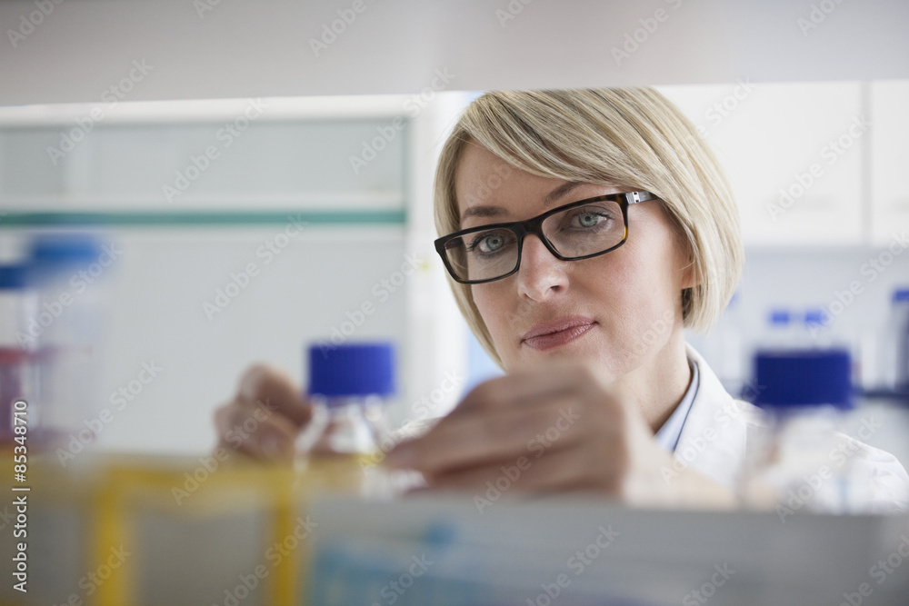 Scientist in laboratory Scientist in laboratory
