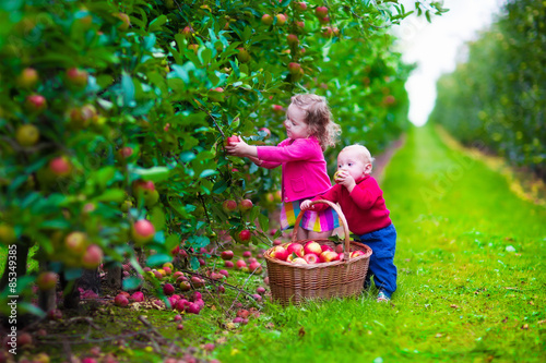Kids picking fresh apple on a farm