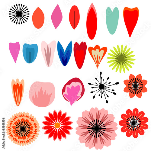 Flowers and petals set