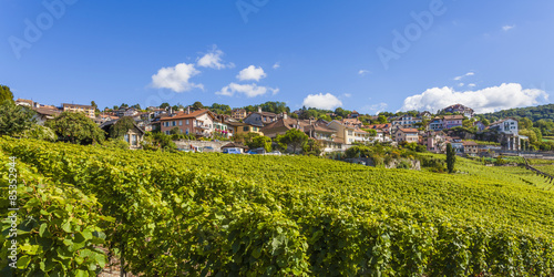 Switzerland, Lavaux, Lake Geneva, wine-growing area Chexbres photo