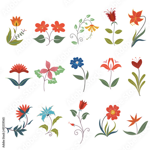 Colorful floral collection with leaves and flowers