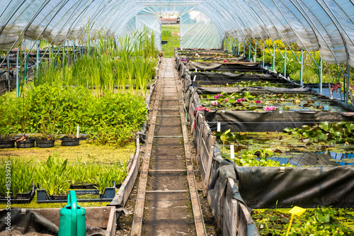Large greenhouse, plant nursery, garden centre