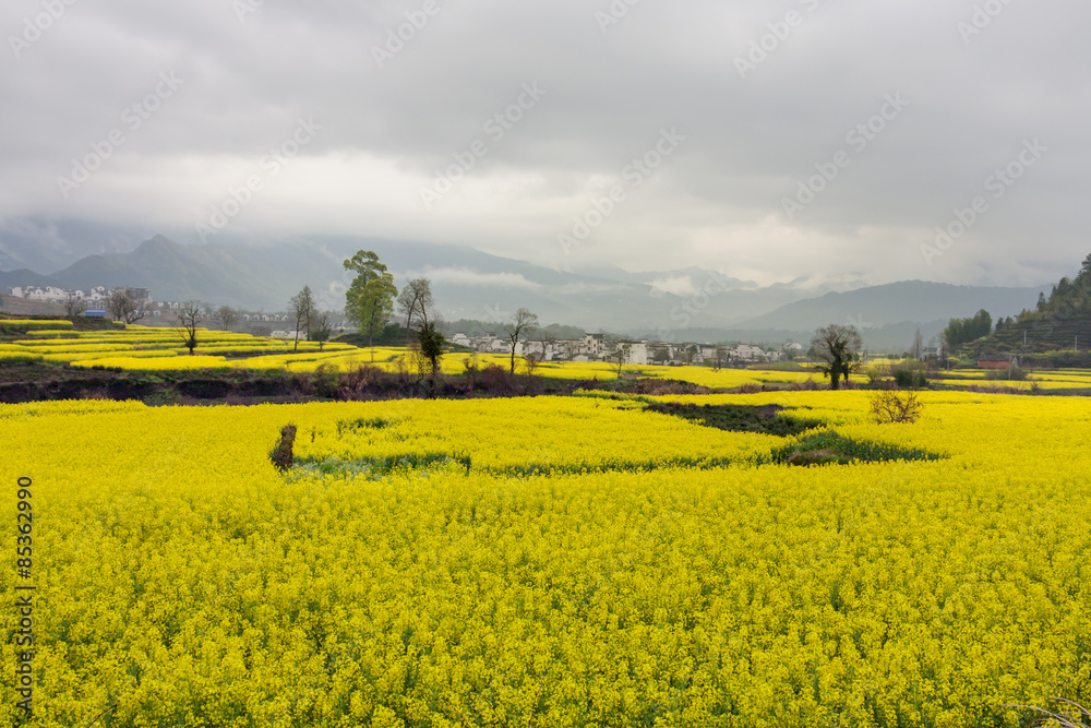 Beautiful rural landscape in China