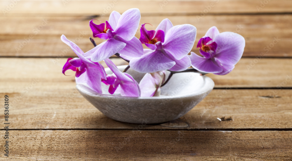 concept of massage and washing-up with pink orchids in stone cup for hydration concept of massage and washing-up with pink orchids in stone cup for hydration