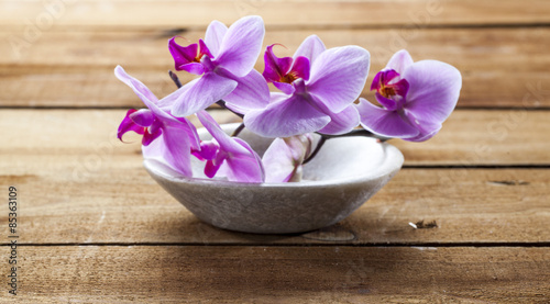 concept of massage and washing-up with pink orchids in stone cup for hydration