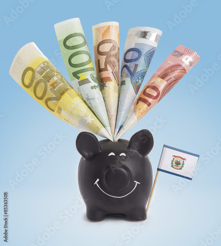 Various european banknotes in a happy piggybank of West Virignia photo