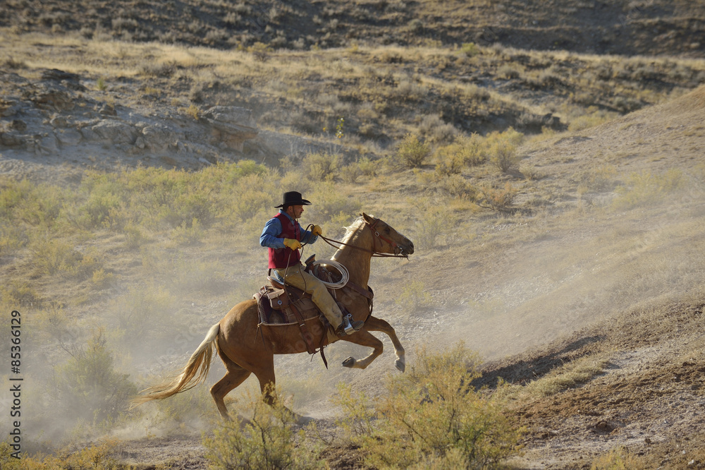 USA, Wyoming, cowboy riding in badlands USA, Wyoming, cowboy riding in badlands