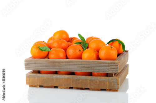 Clementines in Wood Crate