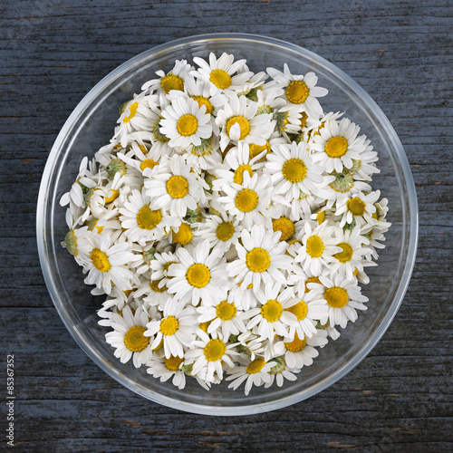 Fototapeta Naklejka Na Ścianę i Meble -  Chamomile flowers in bowl