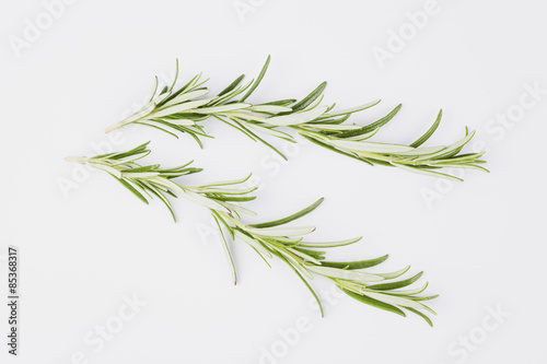 Rosemary, Rosmarinus officinalis, herbs © tunedin