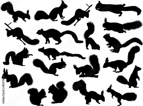 twenty squirrels isolated on white