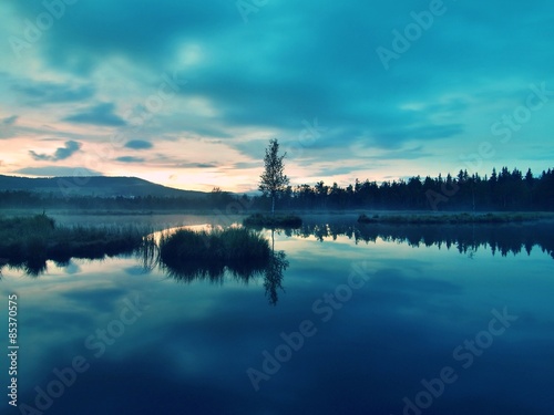 Blue water level in mysterious lake, young tree on island in middle. Fresh green color of herbs and grass, blue pink clouds in sky.