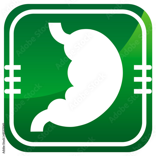 Human organ. Stomach. Vector icon isolated