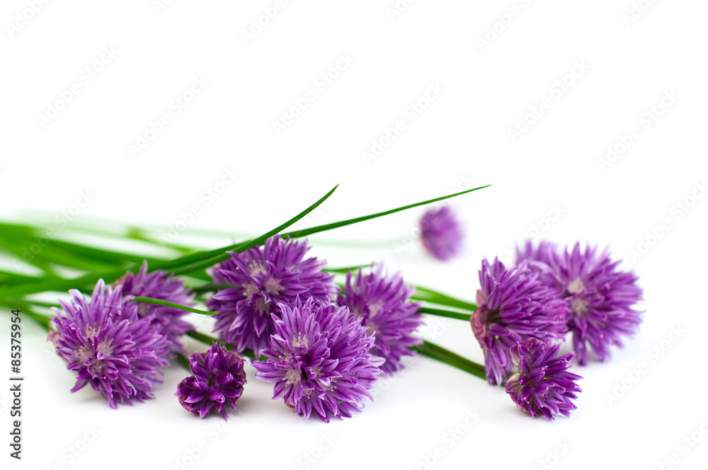 fresh chives