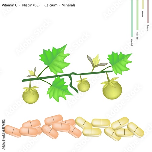 Solanum Stramonifolium Fruits with Vitamin C, B3 and Calcium