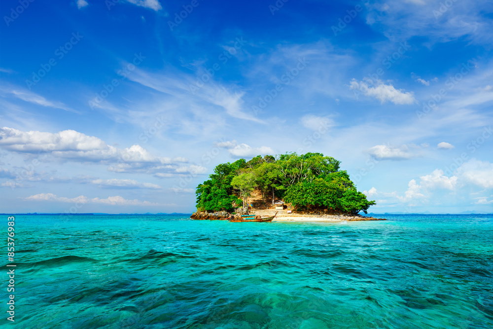 Tropical island in sea