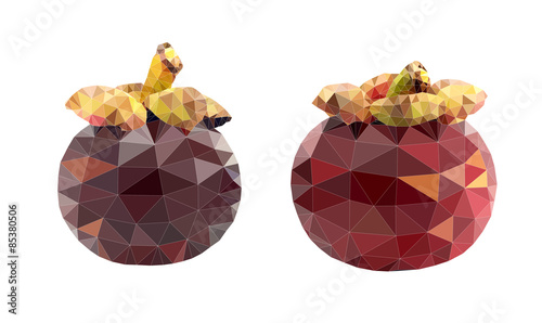 Mangosteen polygon vector illustration on white background