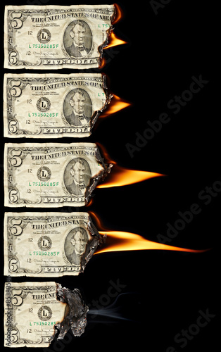 Bilde på lerret Burning dollars