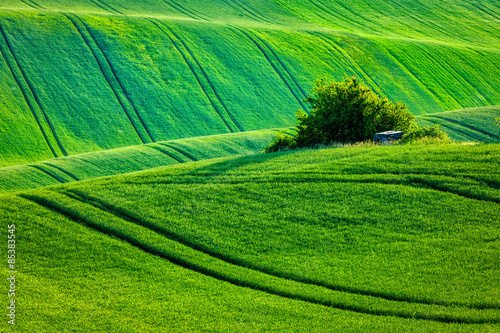 Moravian rolling landscape