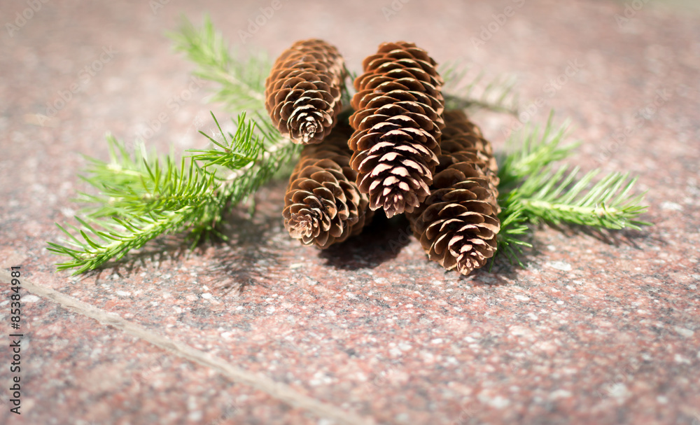 Pine Cones on Stone with Green Branches Pine Cones on Stone with Green Branches