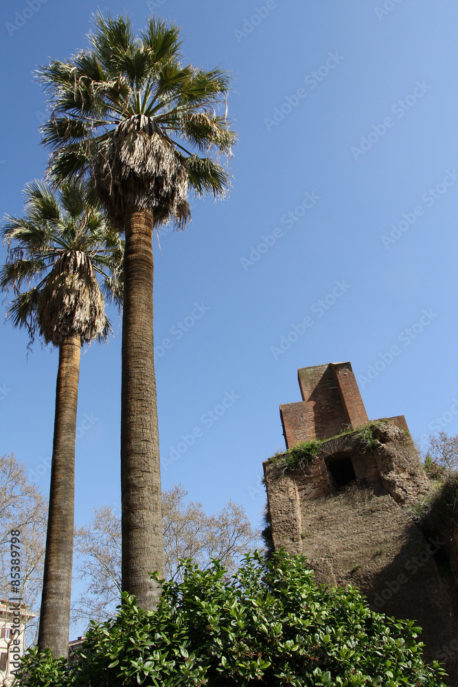 Rome,Italy,Piazza Vittorio Emanuele II,ancient fountain,palm.