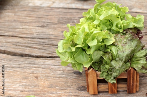 Cos Lettuce, green on wood background