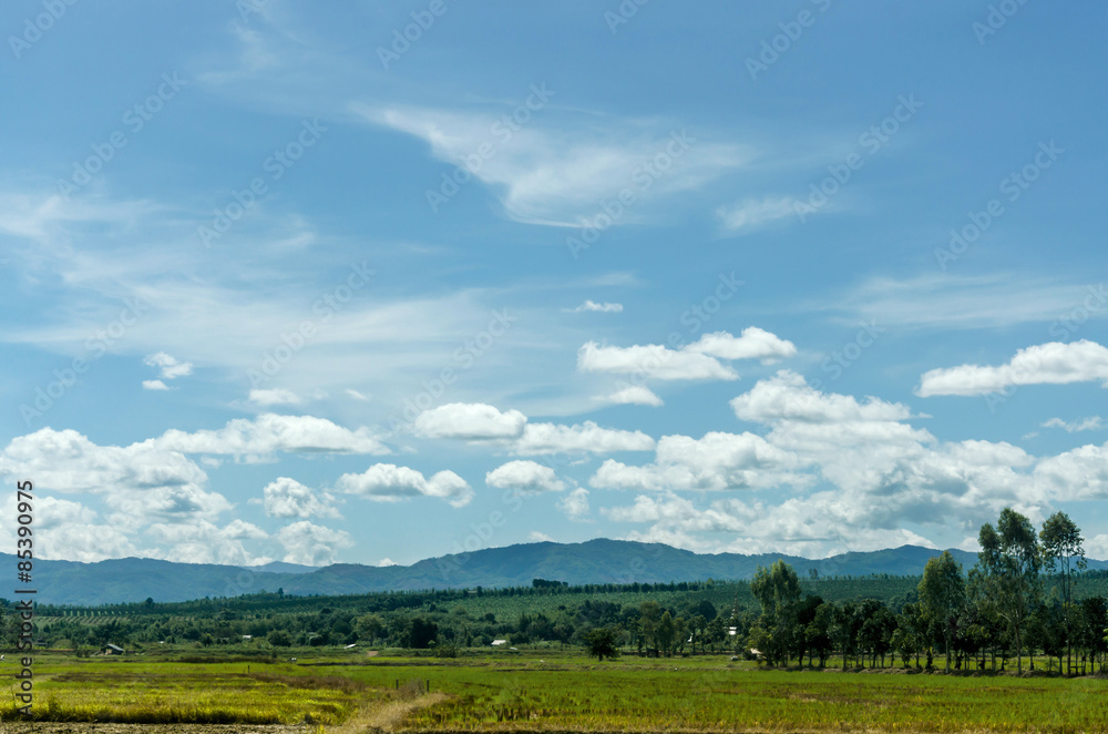 general landscape views and blue sky