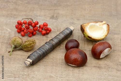 basteln mit Kastanien und anderen Herbstfrüchten photo