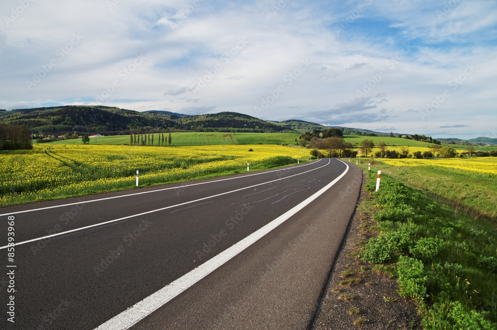 Empty asphalt road between yellow flowering rapeseed field in rural landscape