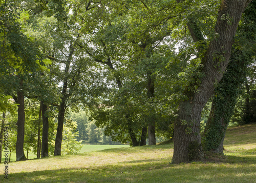 Parc château de La Réole Haute Garonne