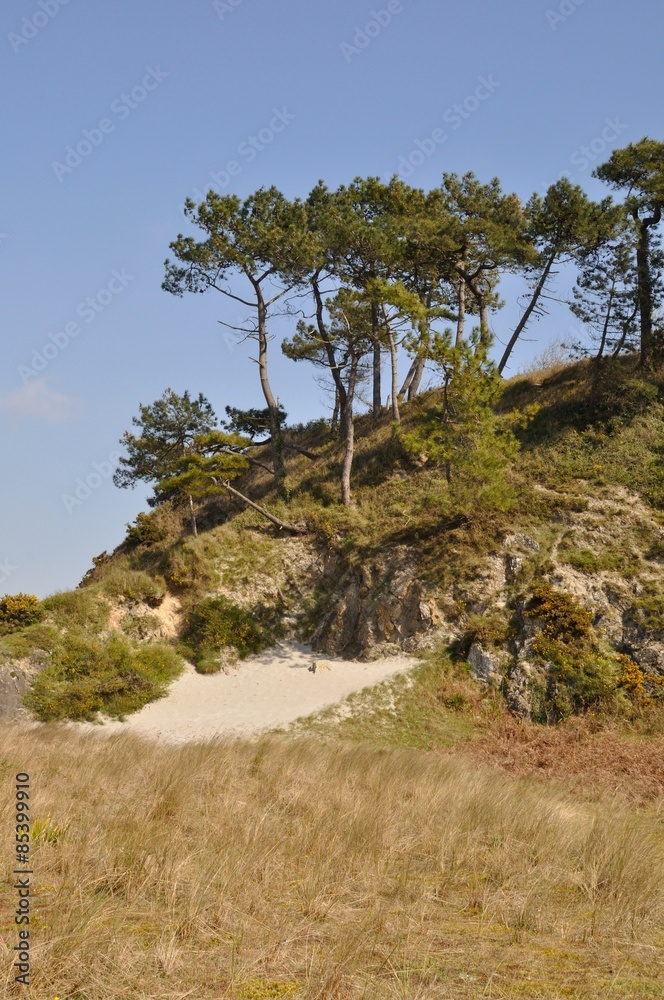 Granite coast at Hillion, Brittany Granite coast at Hillion, Brittany
