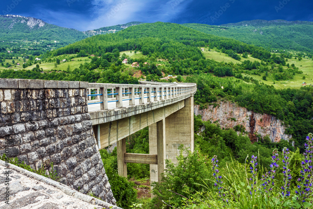 Bridge, mountain landscape, Montenegro. Durdevica Tara bridge