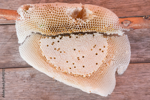 honeycomb