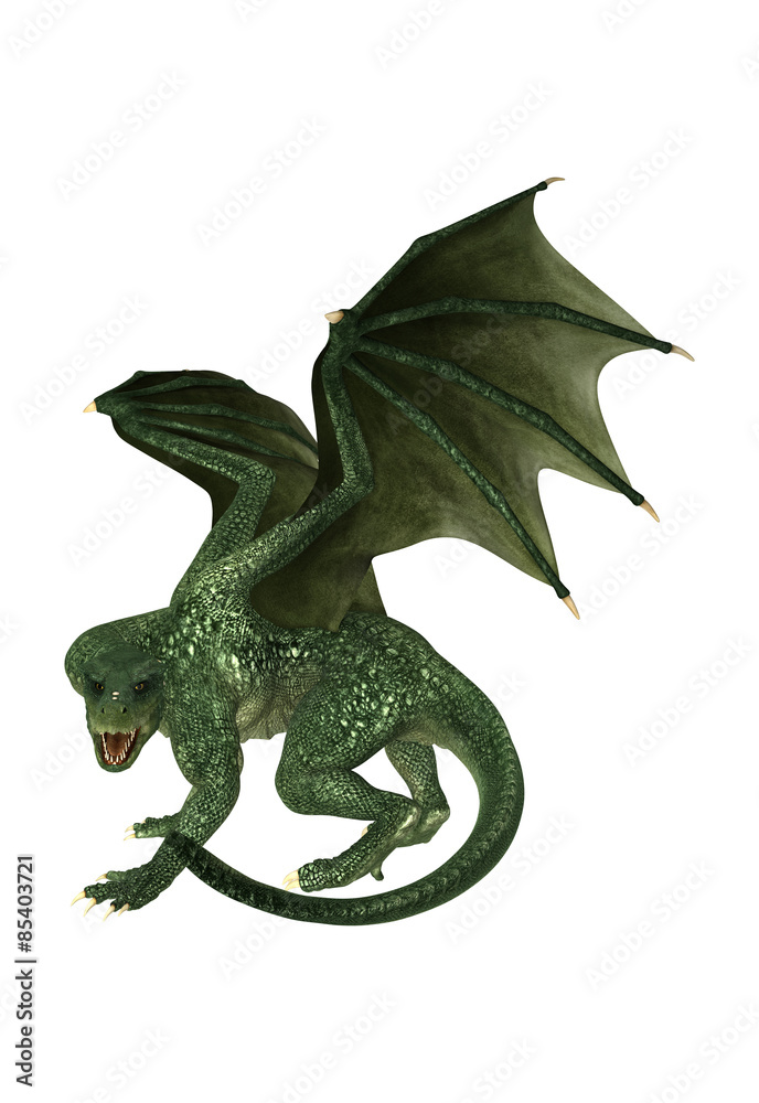Fototapeta premium Dragon