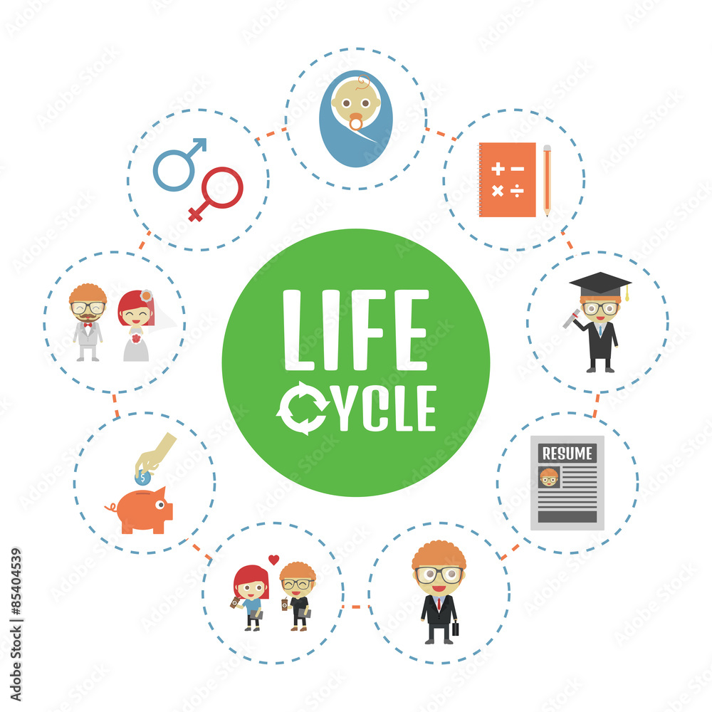 life cycle
