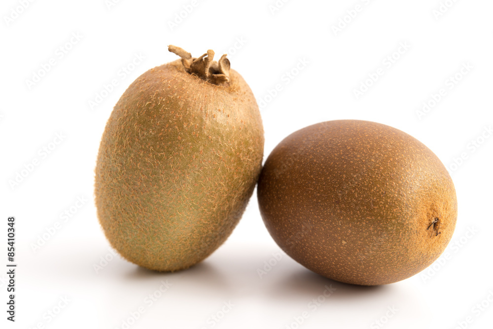 Kiwi Gold and Green Kiwi Gold and Green