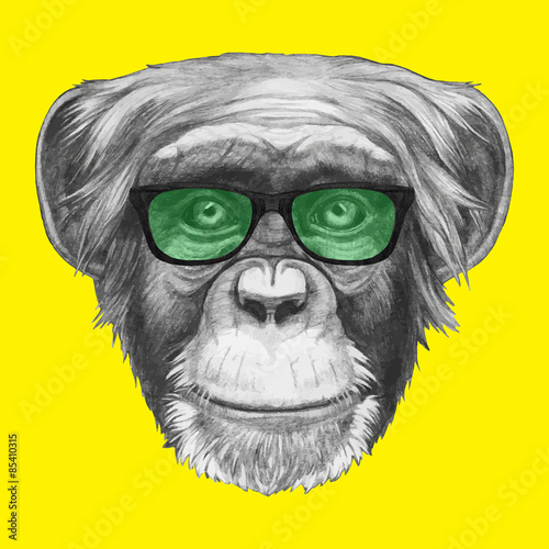 Hand drawn portrait of Monkey with glasses. Vector isolated elements.