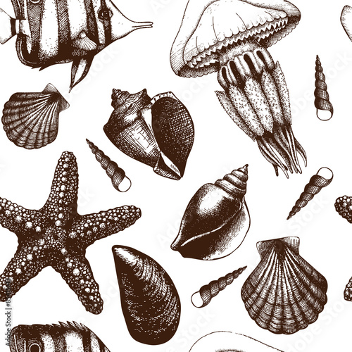 Vector seamless pattern with hand drawn small fish, sea shells, sea star and jellyfish sketch. Vintage background with sea life illustrations