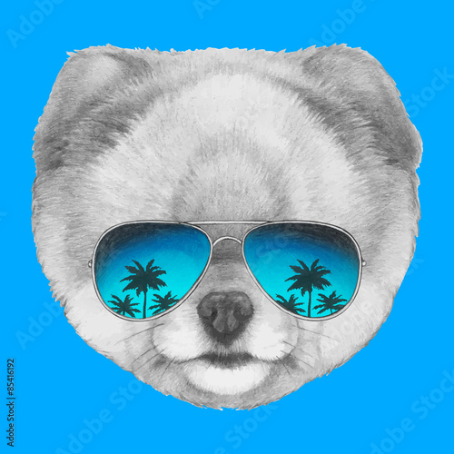 Hand drawn portrait of Pomeranian dog with mirror glasses. Vector isolated elements.