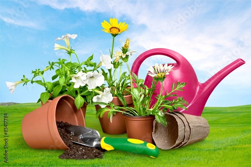 Gardening Equipment, Flower Pot, Flower.